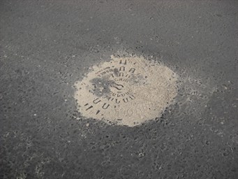 pel crateras.jpg